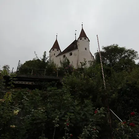 Otel Restaurant Schwert Thun