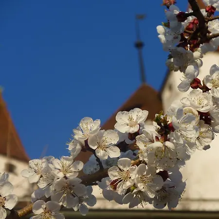 Hotel Restaurant Schwert *