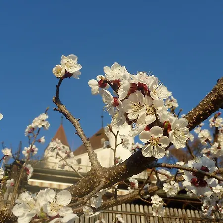 Hotel Restaurant Schwert Thun