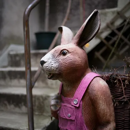 Restaurant Schwert Hotel Thun