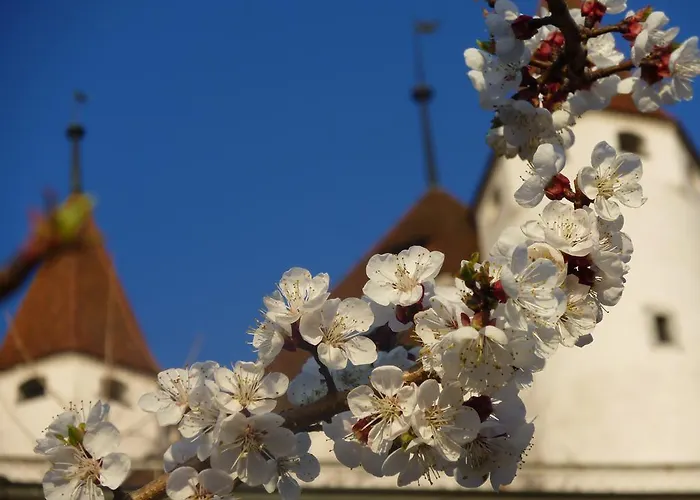 Hotel Restaurant Schwert *