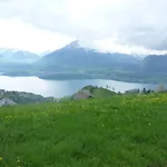 Hotell Restaurant Schwert Thun