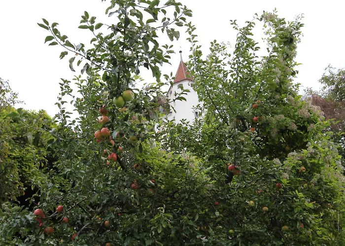 Hotel Restaurant Schwert *